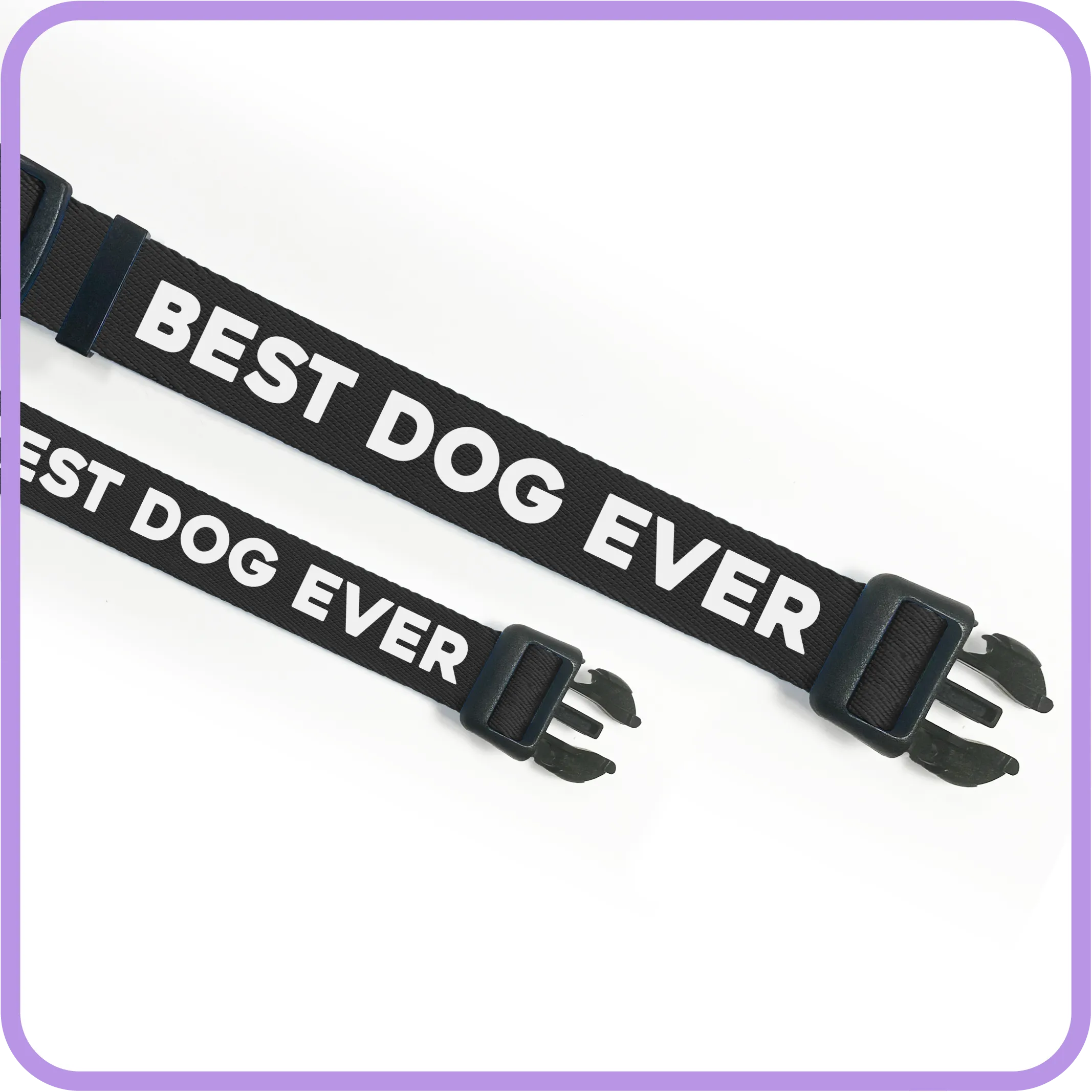 Best Dog Ever (Black) Dog Collar