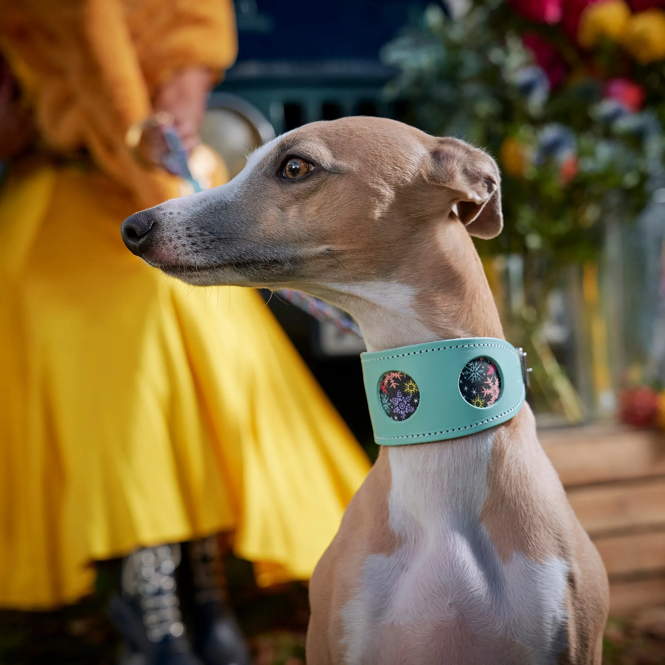 Christmas Snowflakes Hound Collar