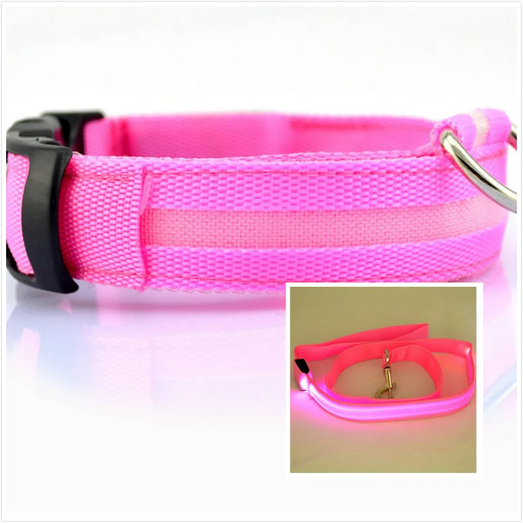 Dog LED luminous collar / Collar luminoso LED para perros