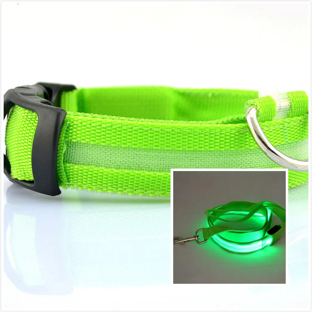 Dog LED luminous collar / Collar luminoso LED para perros