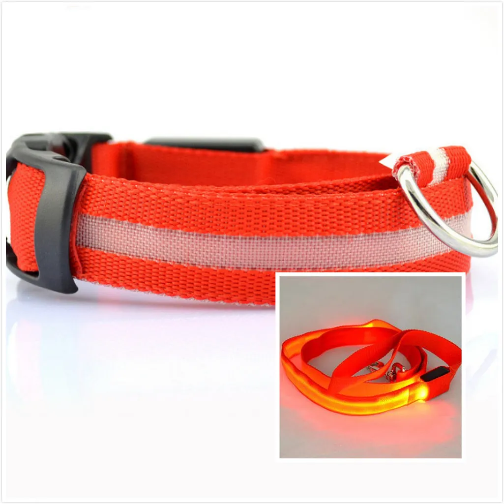 Dog LED luminous collar / Collar luminoso LED para perros