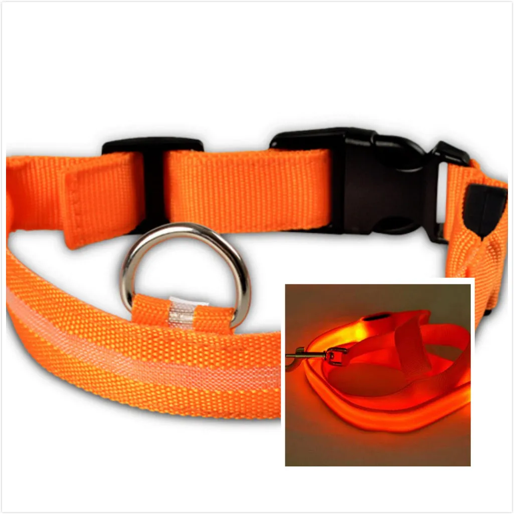 Dog LED luminous collar / Collar luminoso LED para perros