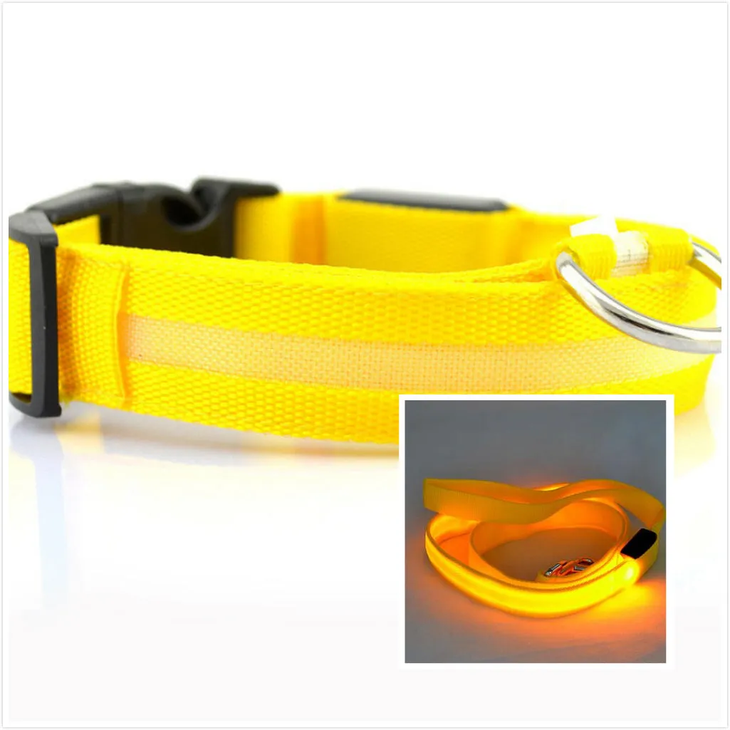 Dog LED luminous collar / Collar luminoso LED para perros