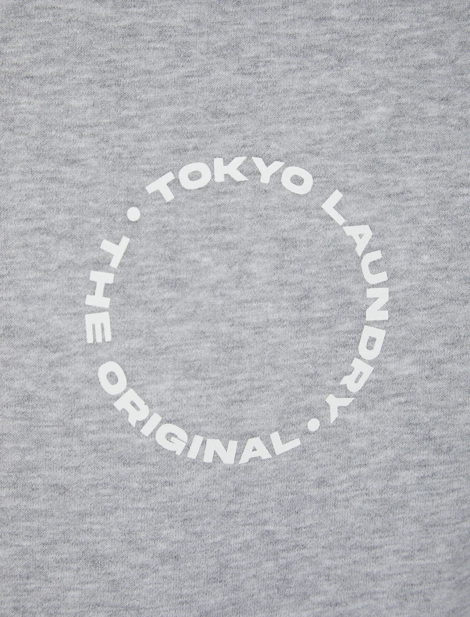 Dylon Motif Brushback Fleece Pullover Crew Neck Sweatshirt with Back Print in Light Grey Marl - Tokyo Laundry