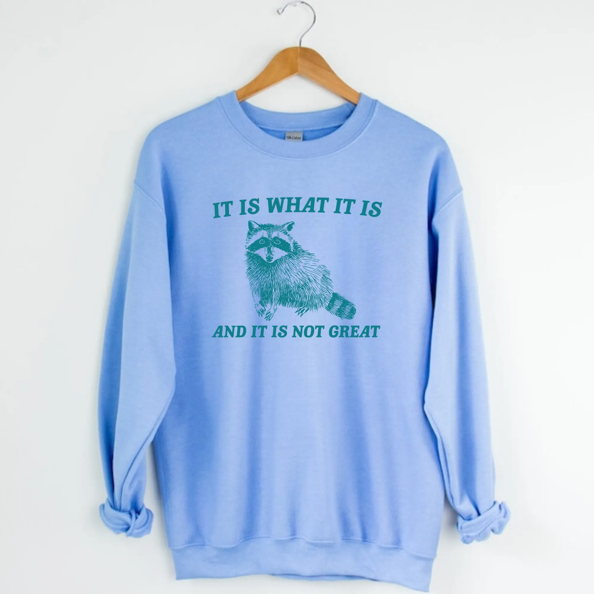 Funny Raccoon Sweatshirt | It Is What It Is