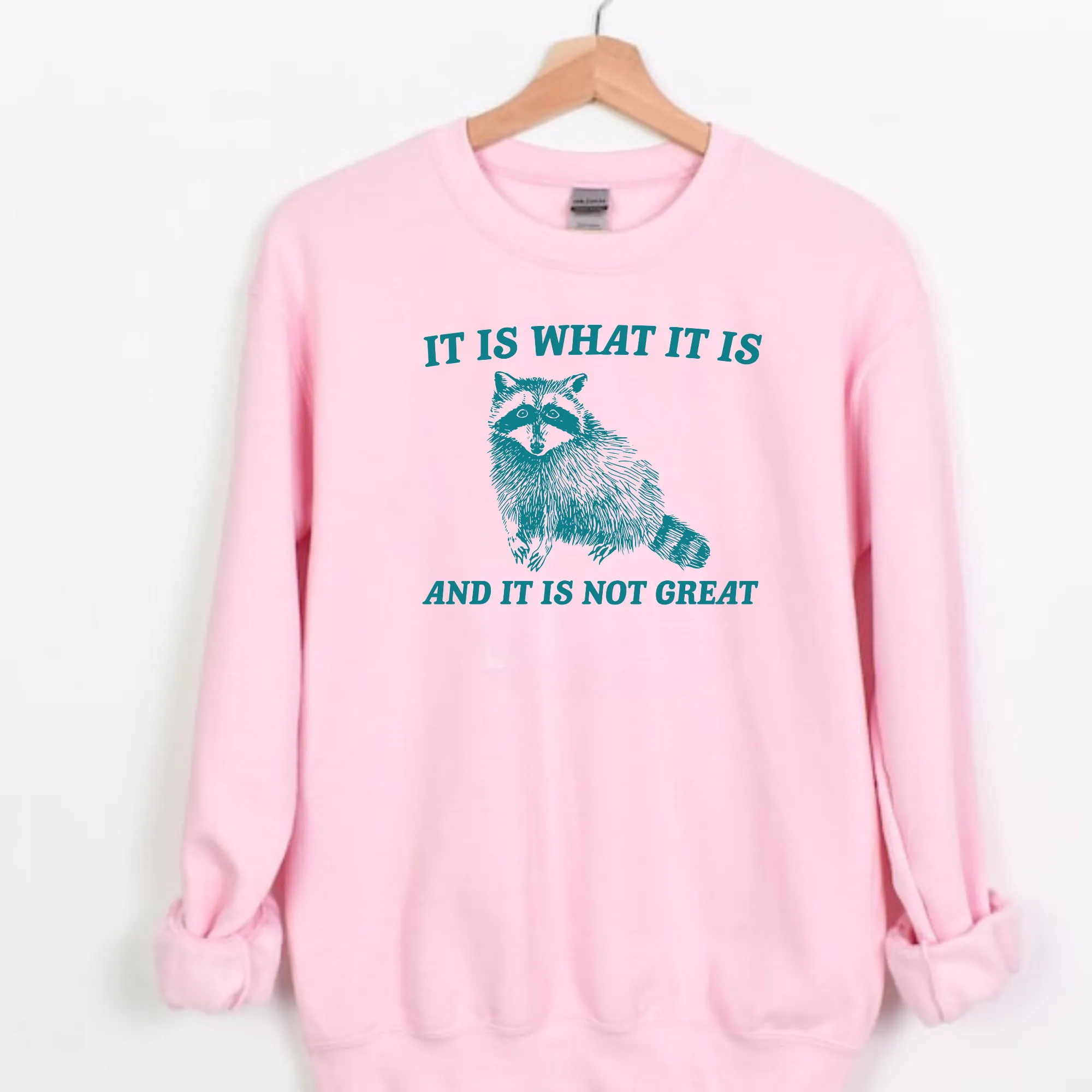 Funny Raccoon Sweatshirt | It Is What It Is