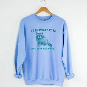 Funny Raccoon Sweatshirt | It Is What It Is