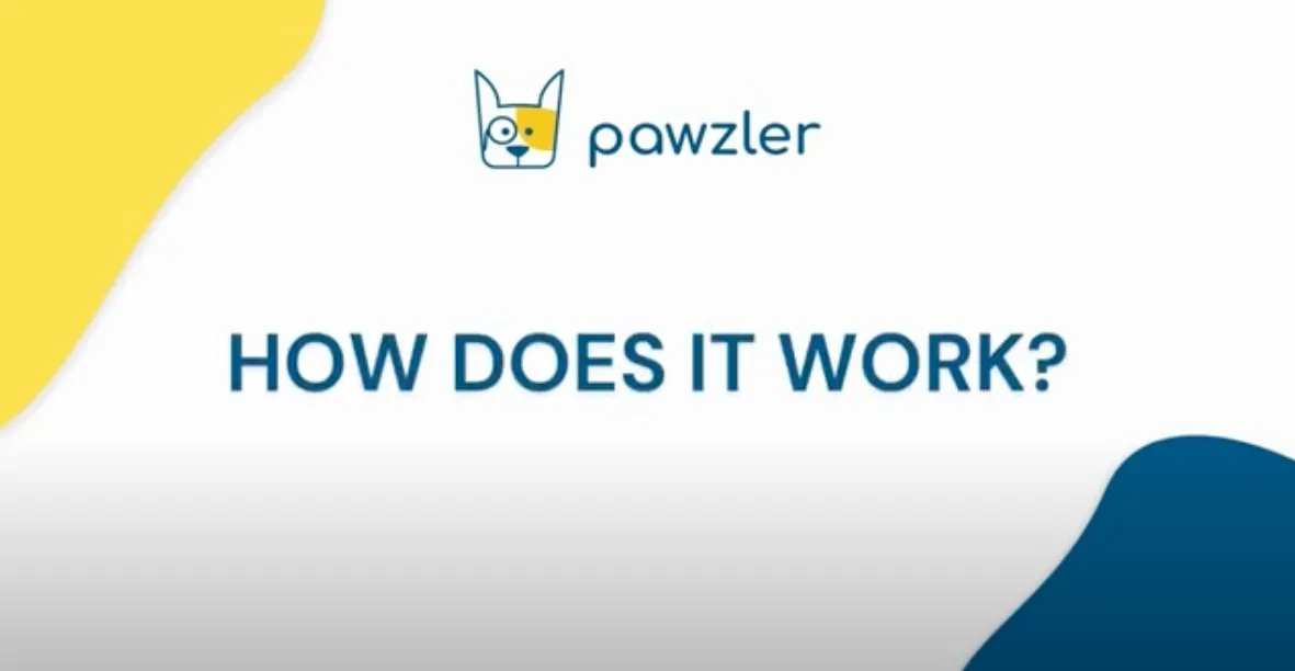 Pawzler Innovative Modular Dog Puzzles (Nai Without Base)