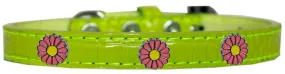 Pink Daisy Widget Croc Dog Collar Lime Green Size 20