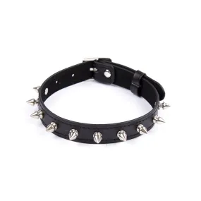 Spike Collar