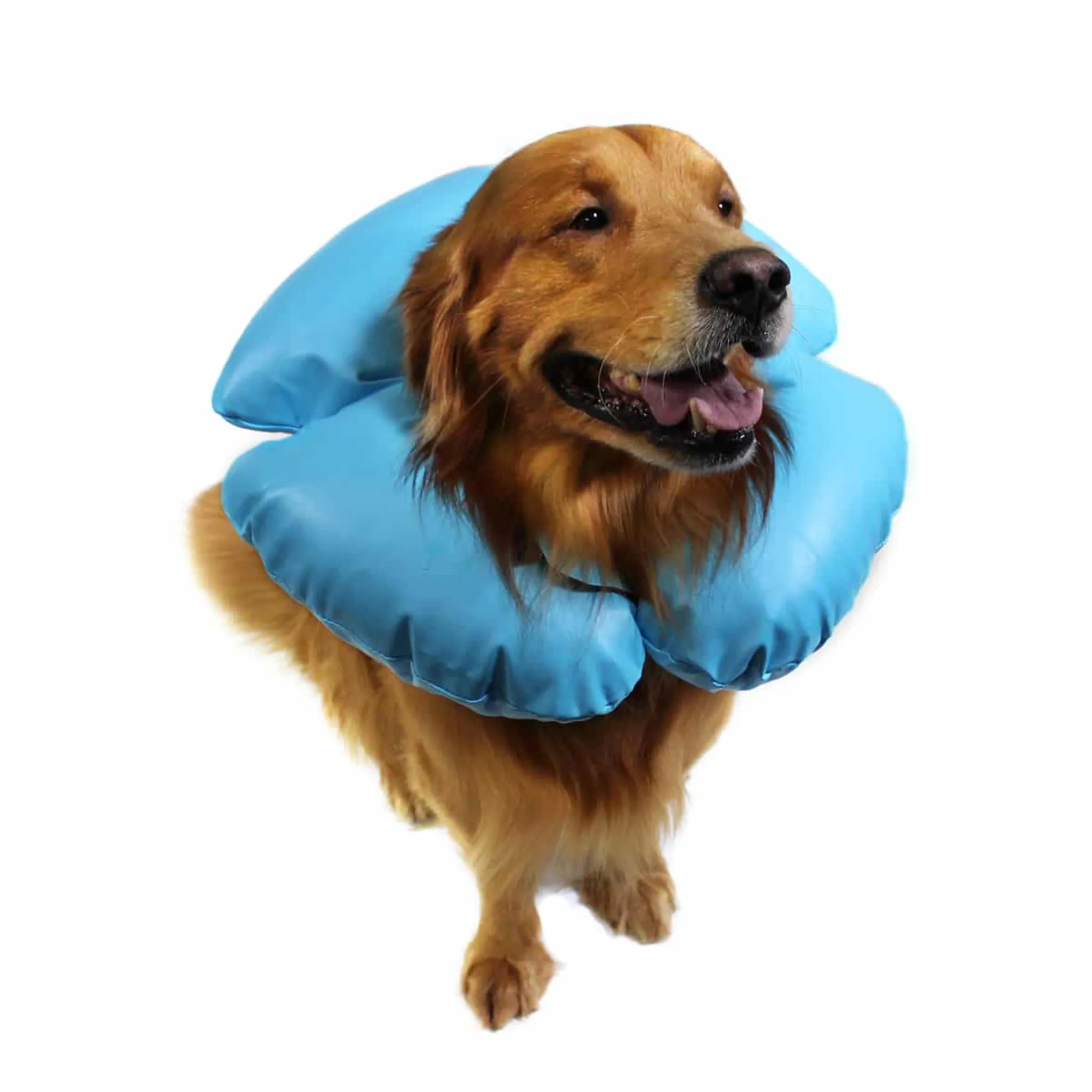 VetOne Air-O Inflatable Collar